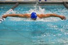 Swimming vs Bentley  Wheaton College Swimming vs Bentley. - Photo By: KEITH NORDSTROM : Wheaton, Swimming, Bentley